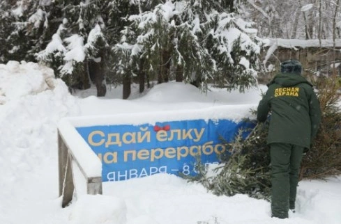 Фото: Администрация Сергиево-Посадского городского округа