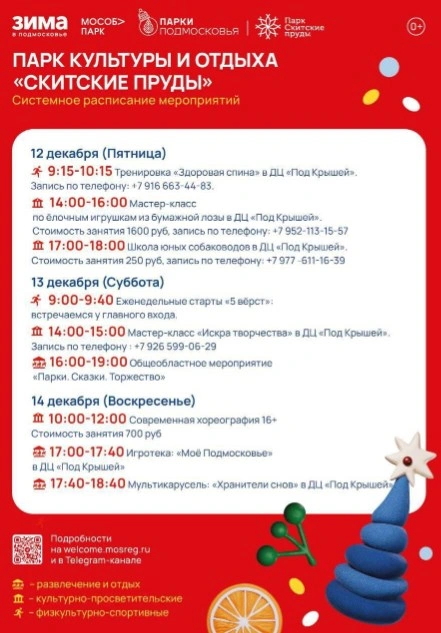 парк афиша 12-14 декабря.jpg