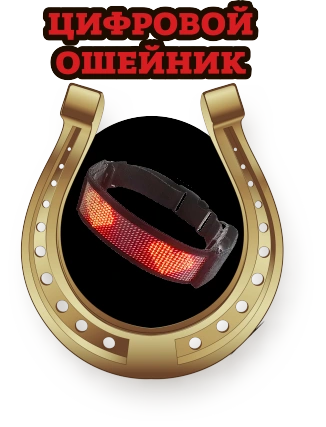 ruletkaosejnik_6450ed9b32cbb.png
