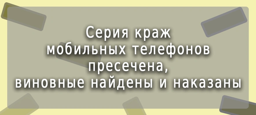 Воровство в С.Посаде. УМВД.jpg