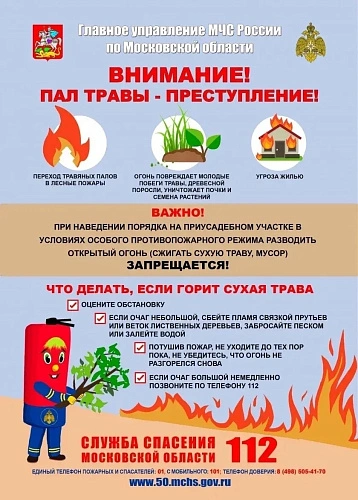 Фото: Администрация Сергиево-Посадского городского округа