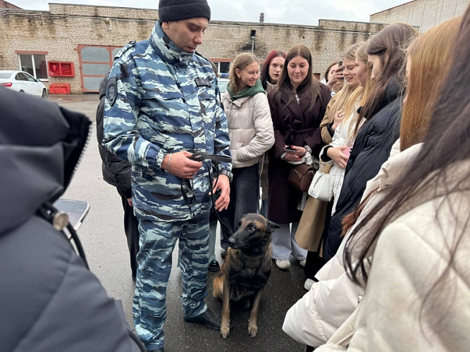 Фото: УМВД Сергиев Посад