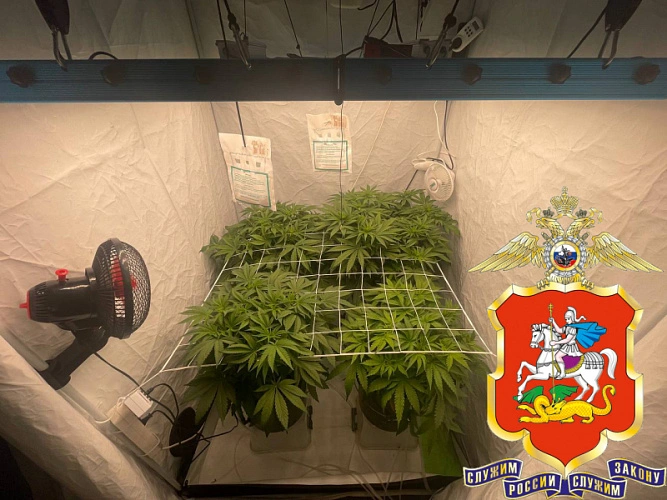 Фото: Пресс-служба УМВД России