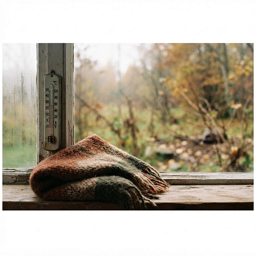 Фото: Редакция портала