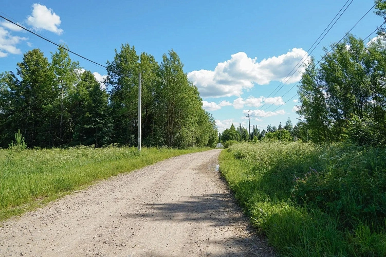 Фото: Администрация Сергиево-Посадского городского округа