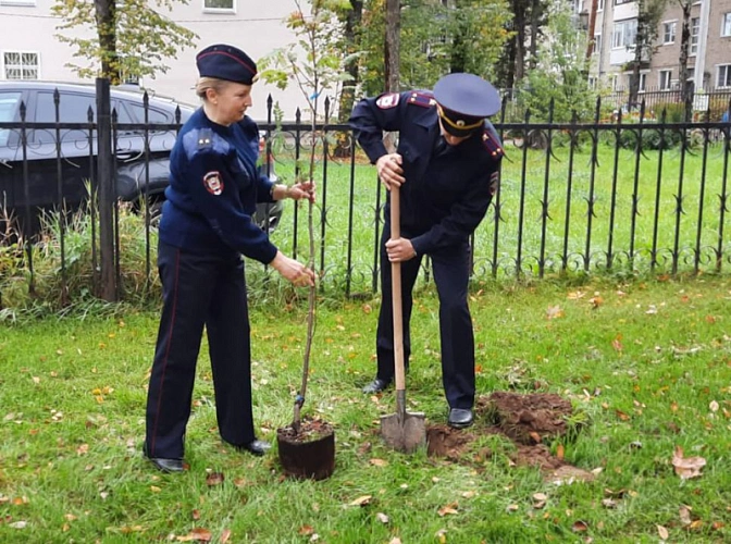 Фото: УМВД Сергиев Посад