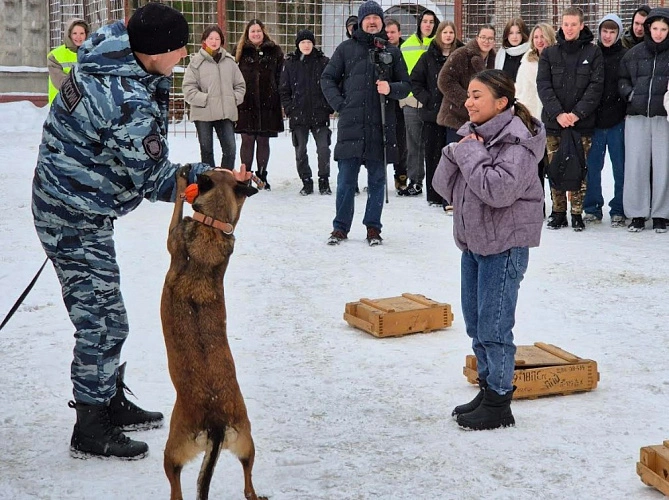 Фото: УМВД Сергиев Посад