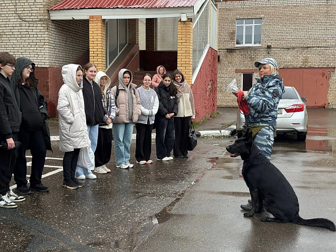 Фото: УМВД Сергиев Посад Фото: УМВД Сергиев Посад