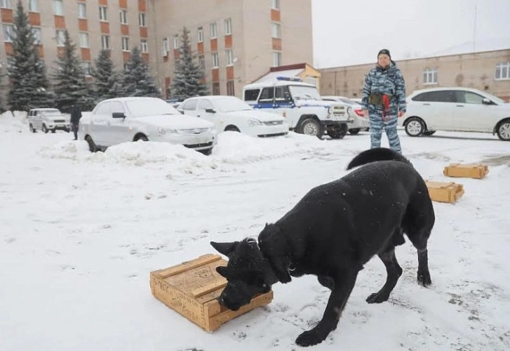 Фото: УМВД Сергиев Посад