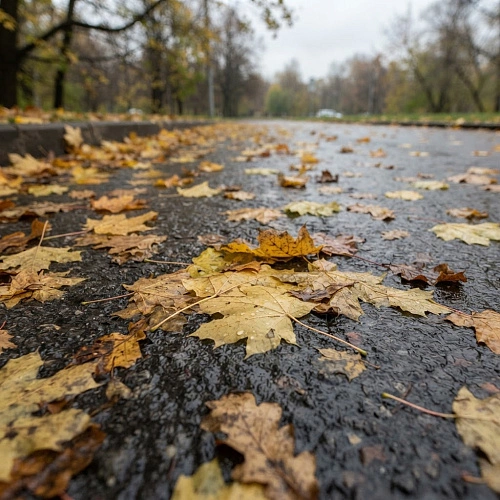Фото: Редакция портала