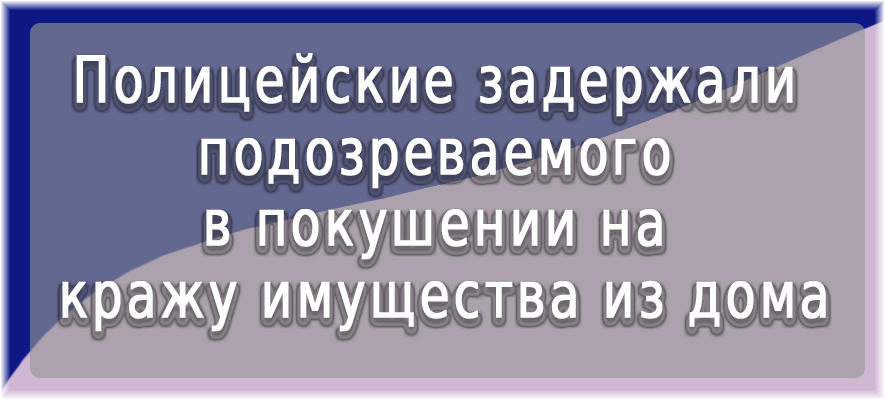 Полицейские задержали подозреваемого в покушении на кражу имущества из дома.jpg