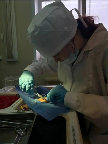 Фото: Администрация Сергиево-Посадского городского округа