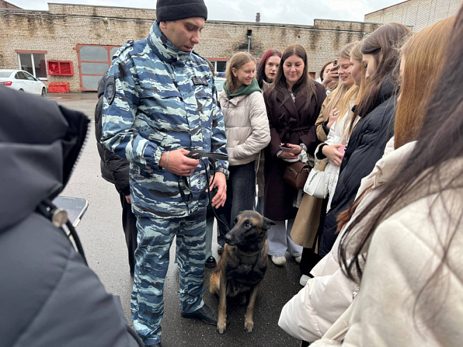 Фото: УМВД Сергиев Посад