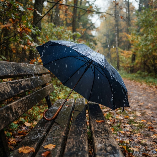 Фото: Редакция портала