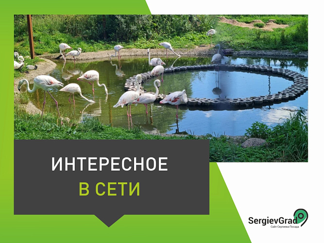 Фото: Яндекс Карты