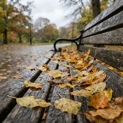 Фото: Редакция портала