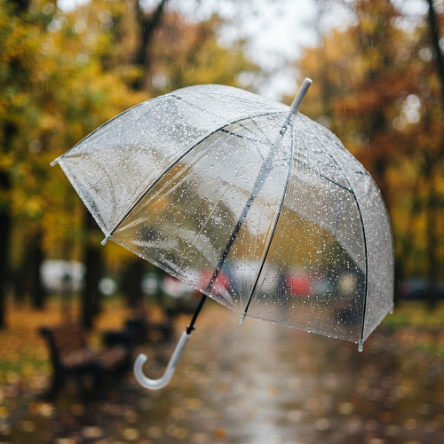 Фото: Редакция портала