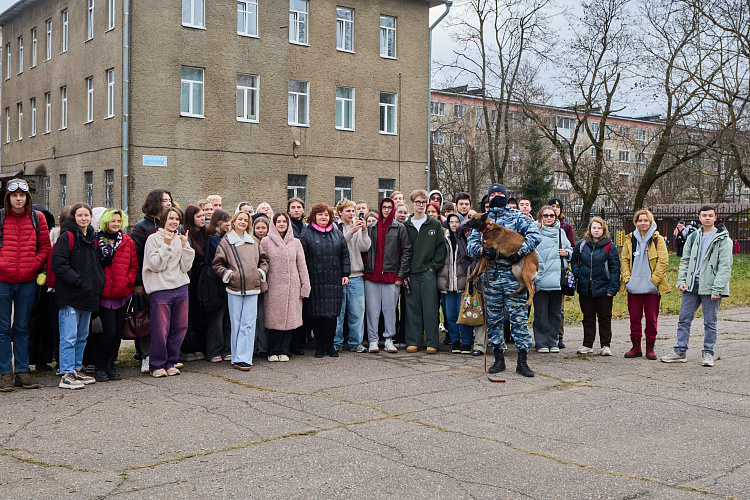 Фото: УМВД Сергиев Посад