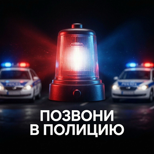 Фото: УМВД Сергиев Посад