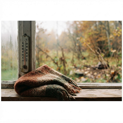 Фото: Редакция портала
