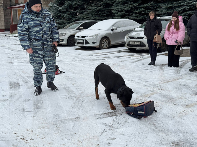 Фото: УМВД Сергиев Посад