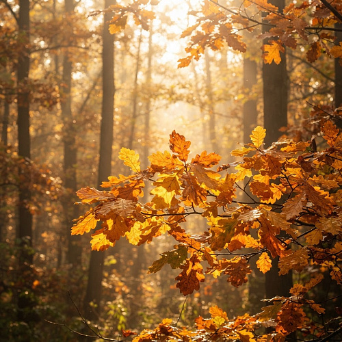 Фото: Редакция портала