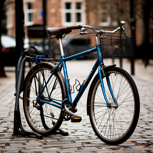 Фото: Редакция портала