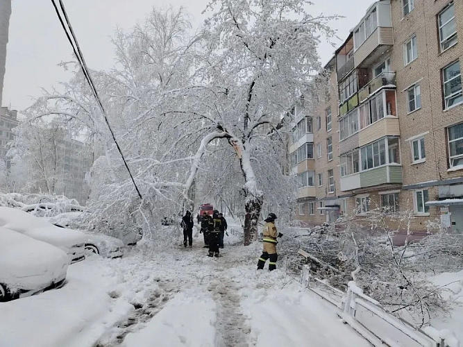 Фото: Администрация Сергиево-Посадского городского округа