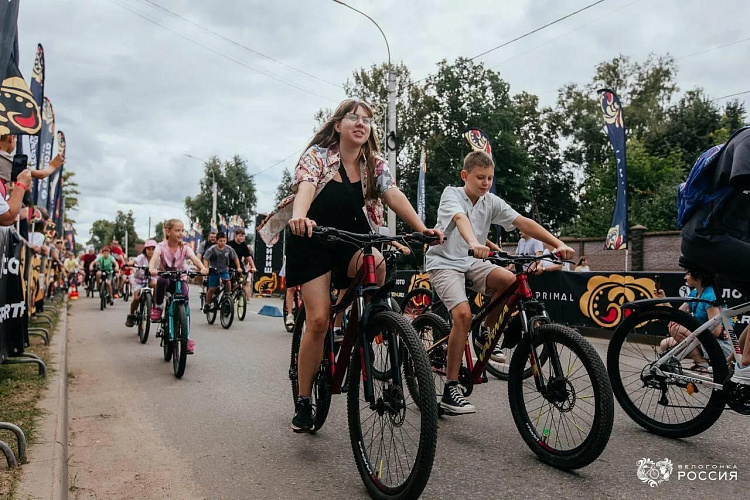 Фото: Администрация Сергиево-Посадского городского округа