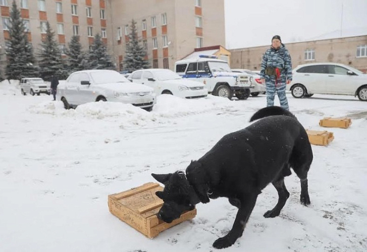 Фото: УМВД Сергиев Посад