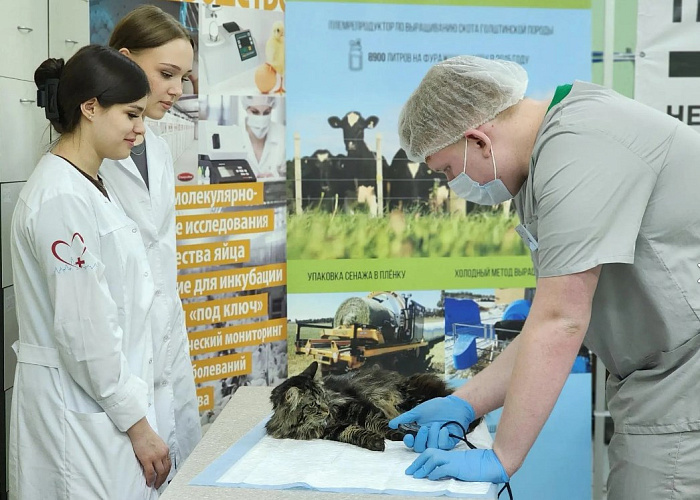 Фото: Администрация Сергиево-Посадского городского округа