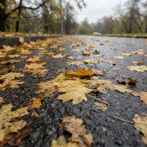 Фото: Редакция портала