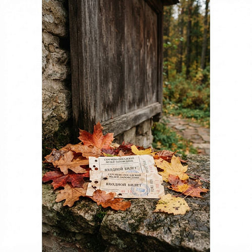 Фото: Редакция портала
